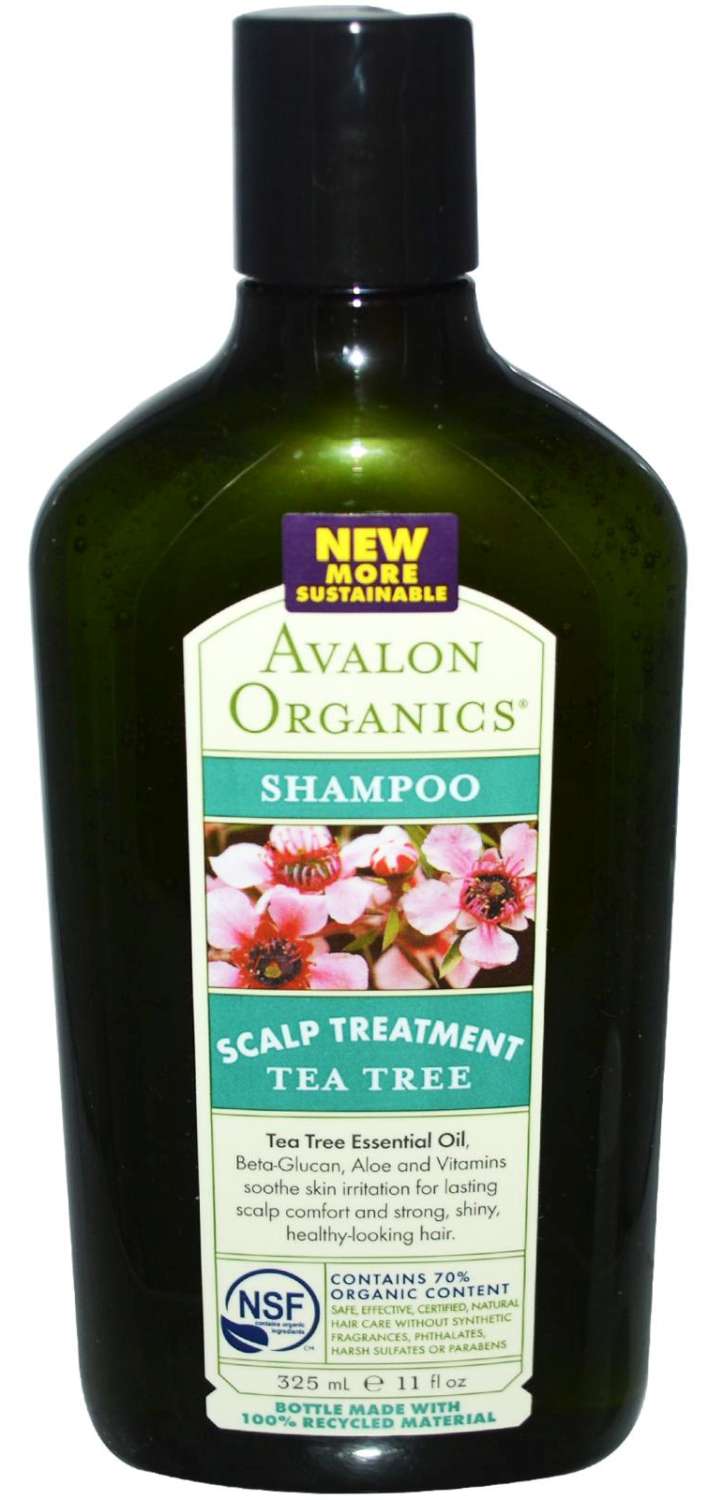 AVALON T/TREE SCALP TRMT SHAMP