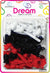 DREAM BRT#16 CHUBBY RIBBON 24P