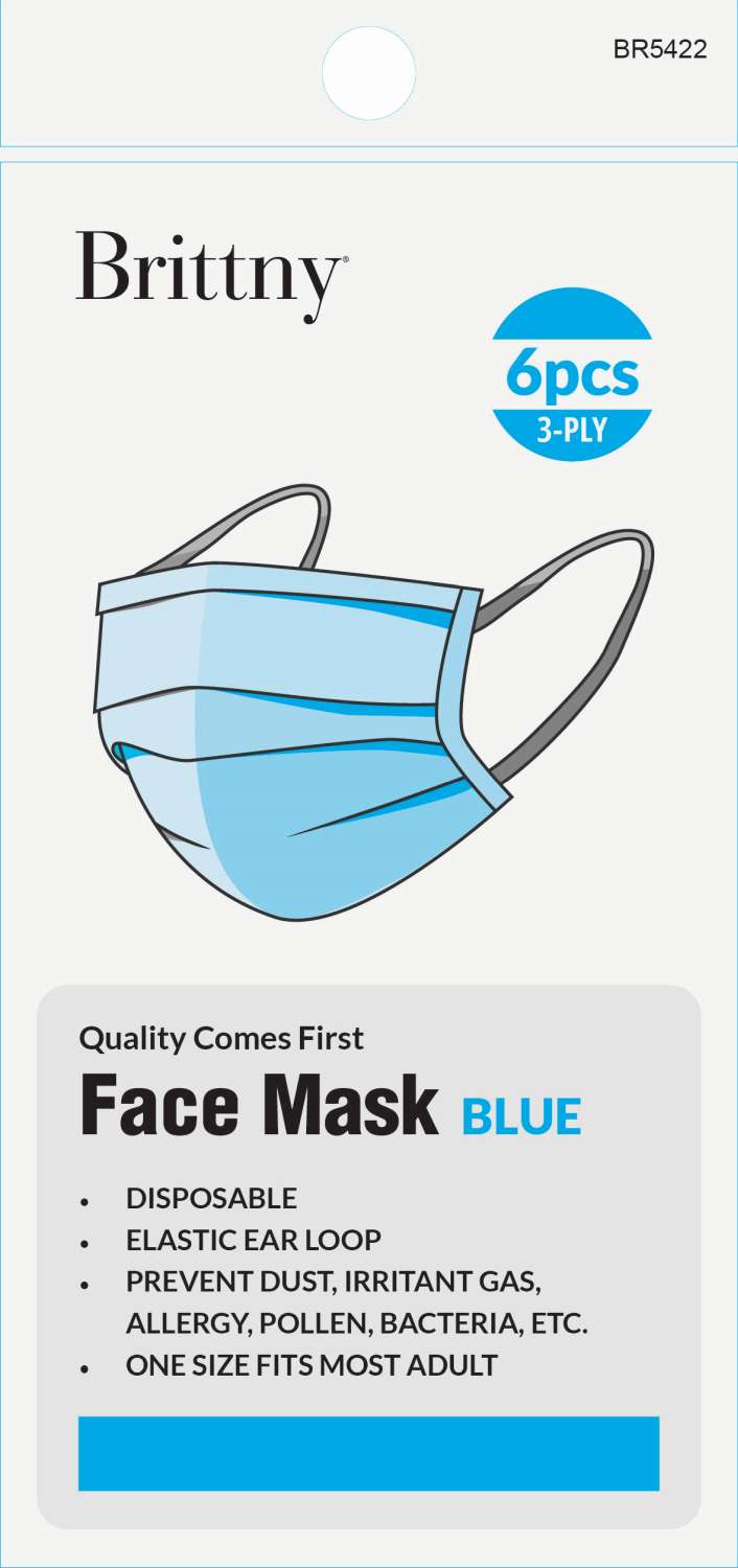 BR MASK FACE DISPOSABLE 6PC/PK