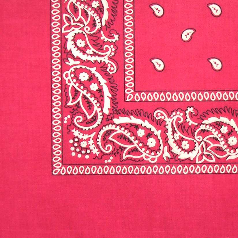 DREAM BANDANA - BULK REGULAR