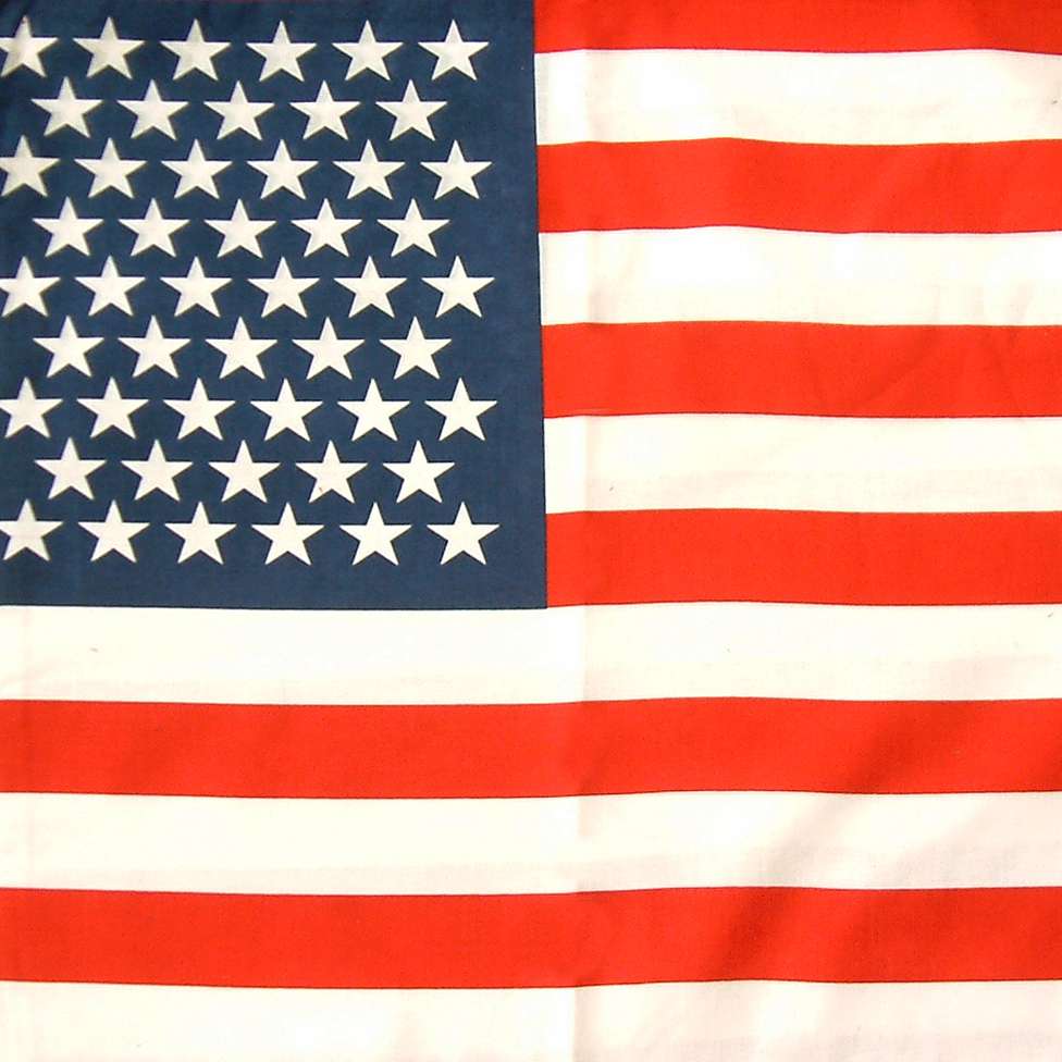 DREAM BANDANA - BULK FLAG