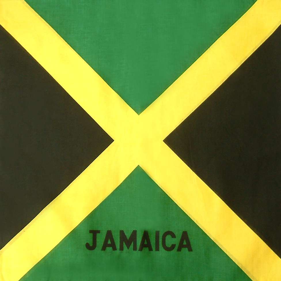 DREAM BANDANA - BULK FLAG
