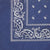 DREAM BANDANA - FOLDED REGULAR