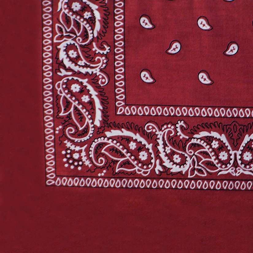 DREAM BANDANA - FOLDED REGULAR