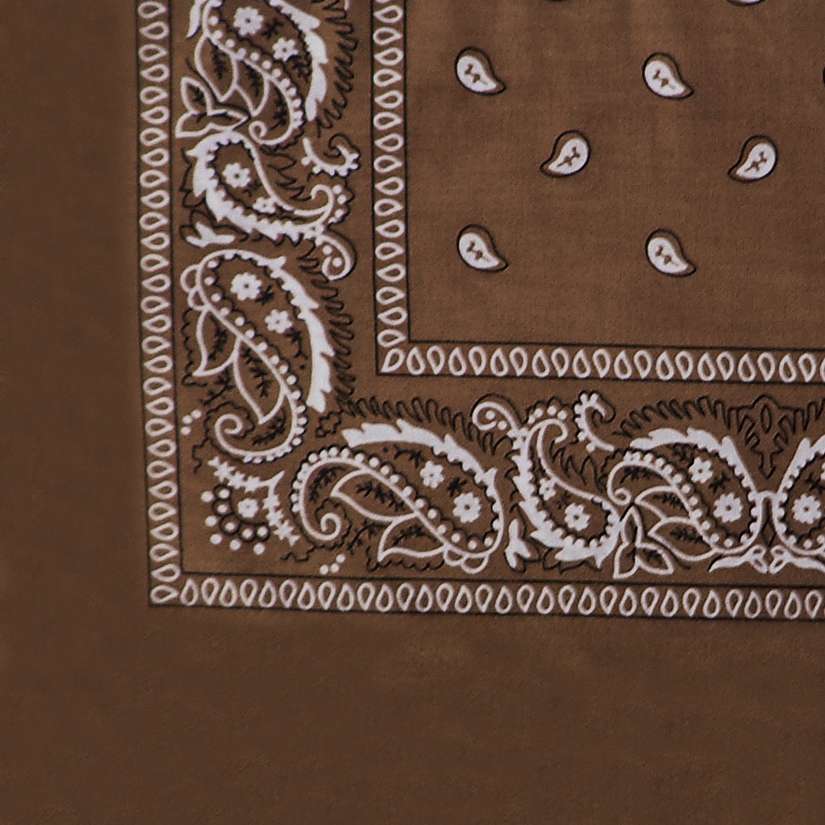DREAM BANDANA - FOLDED REGULAR