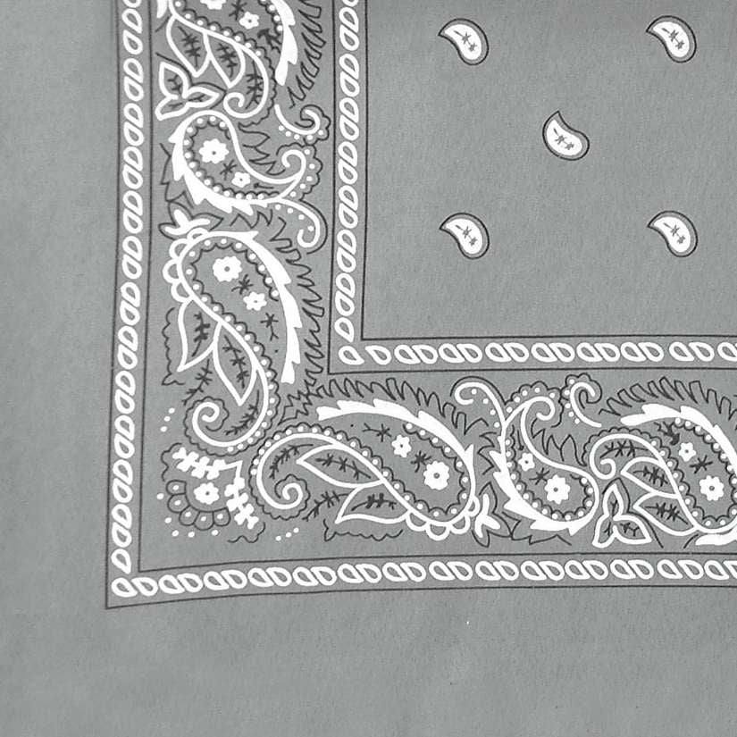 DREAM BANDANA - FOLDED REGULAR