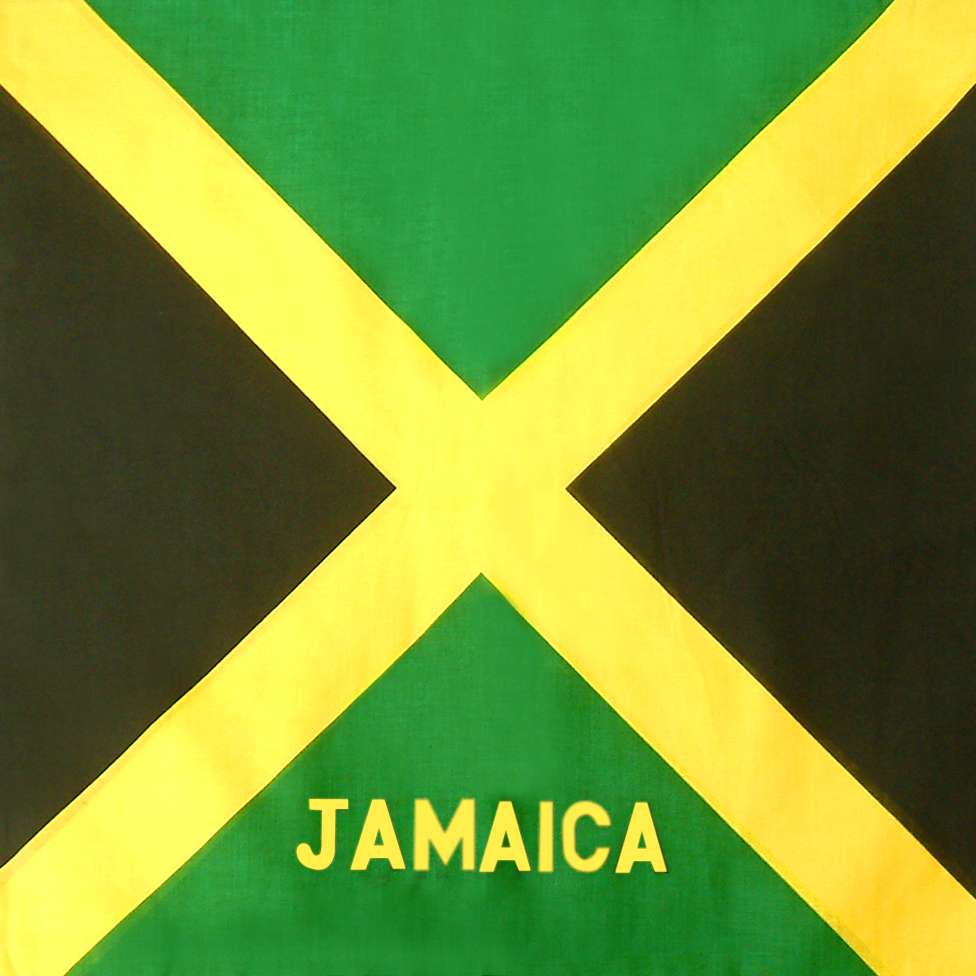 DREAM BANDANA - FOLDED FLAG