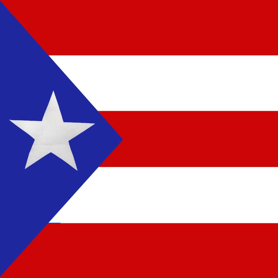 DREAM BANDANA - FOLDED FLAG