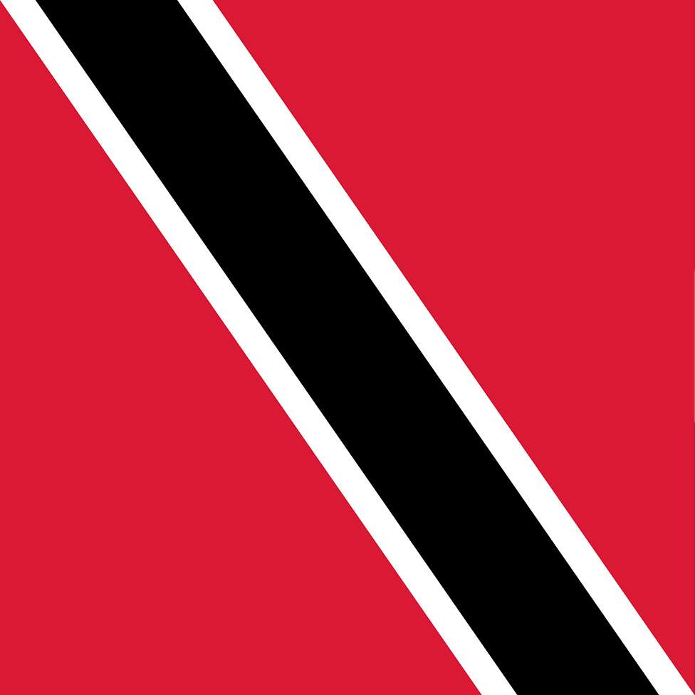 DREAM BANDANA - FOLDED FLAG