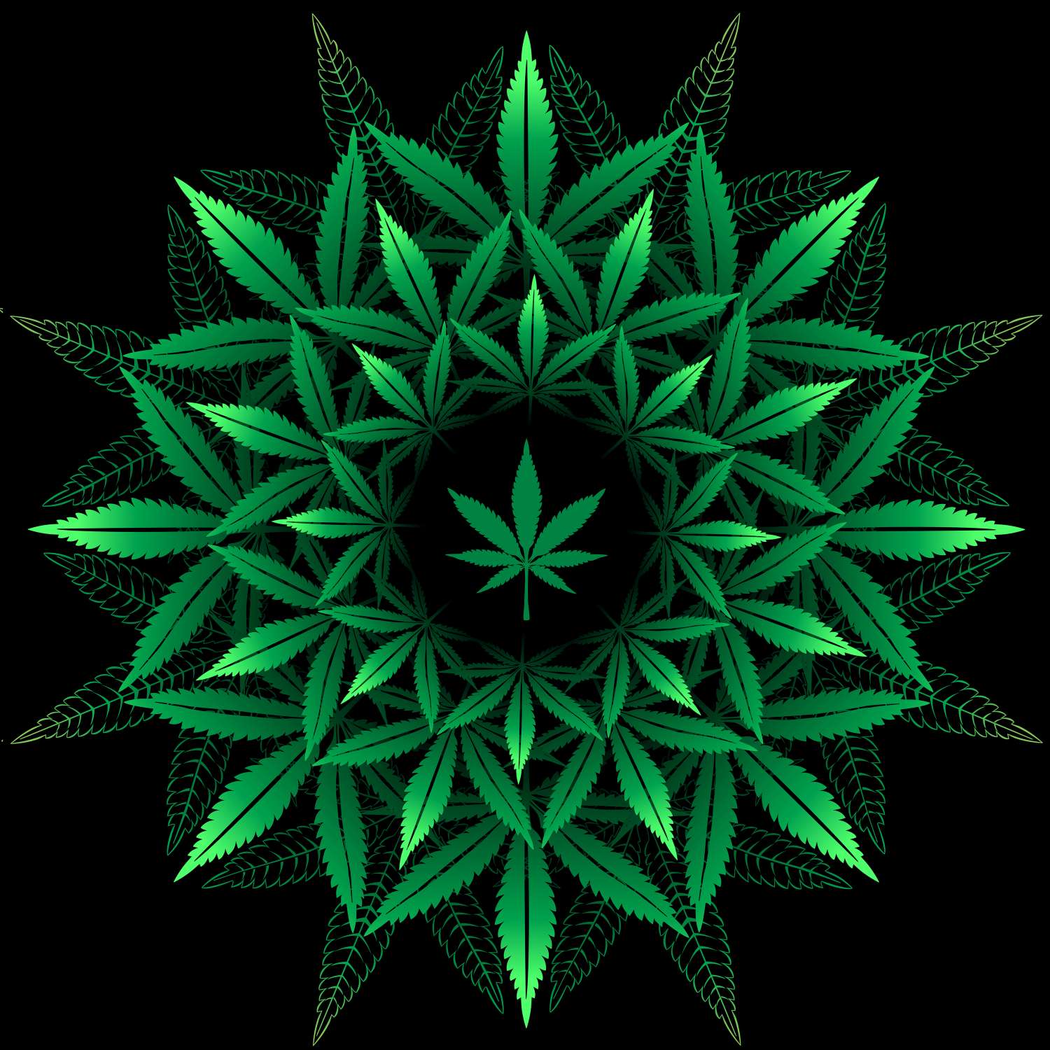 DREAM BANDANA - FOLDED REGULAR MARIHUANA GREEN