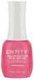 ENTITY GEL- #253 MODELESQUE
