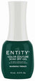 ENTITY GEL- #778 WARMING TRENDS