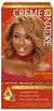 CON GEL 10.0 [HONEY BLONDE]