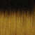 HH BC YAKI WVG 14